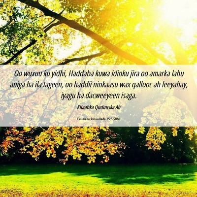Picture 06 - Falimaha Rasuullada 25:5 SOM - Oo wuxuu ku yidhi, Haddaba kuwa idinku jira oo - Bible Verse Picture