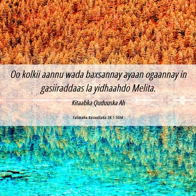 Picture 06 - Falimaha Rasuullada 28:1 SOM - Oo kolkii aannu wada baxsannay ayaan ogaannay in - Bible Verse Picture