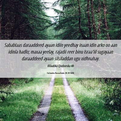 Picture 06 - Falimaha Rasuullada 28:20 SOM - Sababtaas daraaddeed ayaan idiin yeedhay inaan - Bible Verse Picture