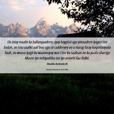 Picture 06 - Falimaha Rasuullada 28:23 SOM - Oo intay maalin ka ballanqaadeen, ayay hoygiisii - Bible Verse Picture
