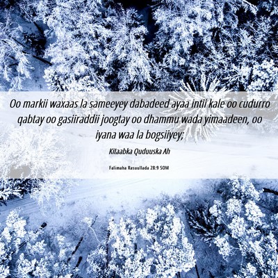 Picture 06 - Falimaha Rasuullada 28:9 SOM - Oo markii waxaas la sameeyey dabadeed ayaa intii - Bible Verse Picture