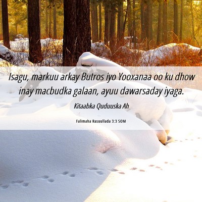 Picture 06 - Falimaha Rasuullada 3:3 SOM - Isagu, markuu arkay Butros iyo Yooxanaa oo ku - Bible Verse Picture