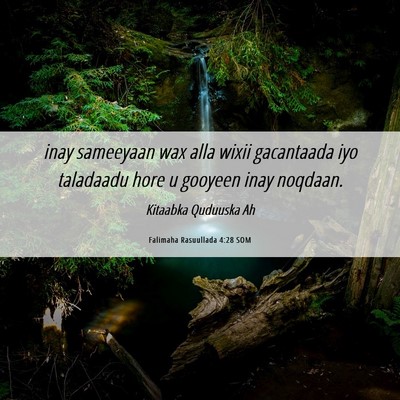 Picture 06 - Falimaha Rasuullada 4:28 SOM - inay sameeyaan wax alla wixii gacantaada iyo - Bible Verse Picture