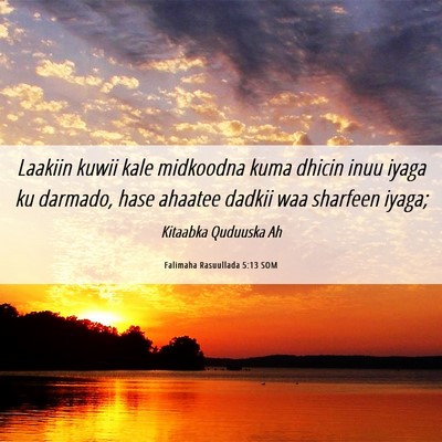 Picture 06 - Falimaha Rasuullada 5:13 SOM - Laakiin kuwii kale midkoodna kuma dhicin inuu - Bible Verse Picture
