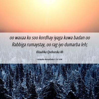 Picture 06 - Falimaha Rasuullada 5:14 SOM - oo waxaa ku soo kordhay iyaga kuwa badan oo - Bible Verse Picture