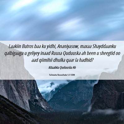 Picture 06 - Falimaha Rasuullada 5:3 SOM - Laakiin Butros baa ku yidhi, Ananiyasow, maxaa - Bible Verse Picture
