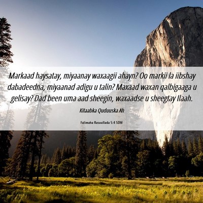 Picture 06 - Falimaha Rasuullada 5:4 SOM - Markaad haysatay, miyaanay waxaagii ahayn? Oo - Bible Verse Picture
