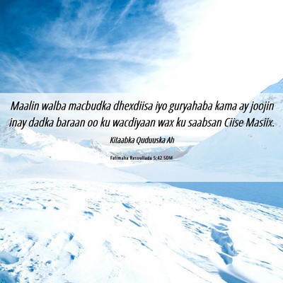 Picture 06 - Falimaha Rasuullada 5:42 SOM - Maalin walba macbudka dhexdiisa iyo guryahaba - Bible Verse Picture