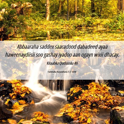 Picture 06 - Falimaha Rasuullada 5:7 SOM - Abbaaraha saddex saacadood dabadeed ayaa - Bible Verse Picture