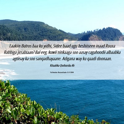 Picture 06 - Falimaha Rasuullada 5:9 SOM - Laakiin Butros baa ku yidhi, Sidee baad ugu - Bible Verse Picture