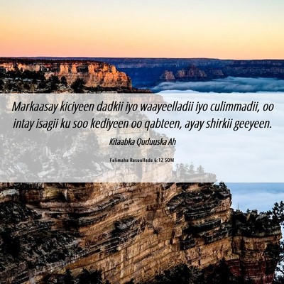 Picture 06 - Falimaha Rasuullada 6:12 SOM - Markaasay kiciyeen dadkii iyo waayeelladii iyo - Bible Verse Picture
