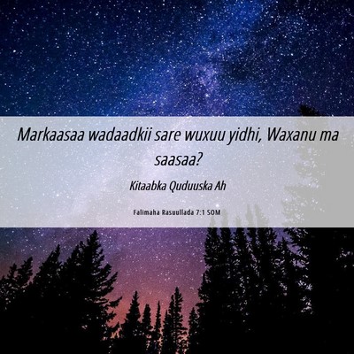Picture 06 - Falimaha Rasuullada 7:1 SOM - Markaasaa wadaadkii sare wuxuu yidhi, Waxanu ma - Bible Verse Picture
