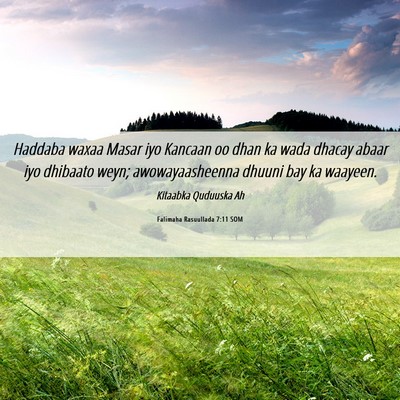 Picture 06 - Falimaha Rasuullada 7:11 SOM - Haddaba waxaa Masar iyo Kancaan oo dhan ka wada - Bible Verse Picture