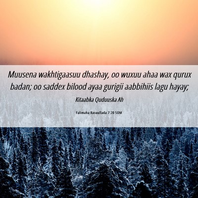 Picture 06 - Falimaha Rasuullada 7:20 SOM - Muusena wakhtigaasuu dhashay, oo wuxuu ahaa wax - Bible Verse Picture