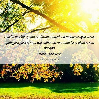 Picture 06 - Falimaha Rasuullada 7:23 SOM - Laakiin markuu gaadhay afartan sannadood oo buuxa - Bible Verse Picture
