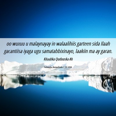 Picture 06 - Falimaha Rasuullada 7:25 SOM - oo wuxuu u malaynayay in walaalihiis garteen sida - Bible Verse Picture