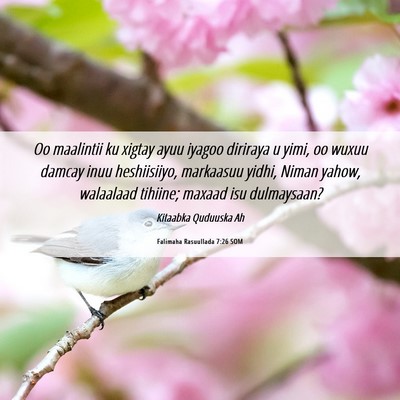 Picture 06 - Falimaha Rasuullada 7:26 SOM - Oo maalintii ku xigtay ayuu iyagoo diriraya u - Bible Verse Picture
