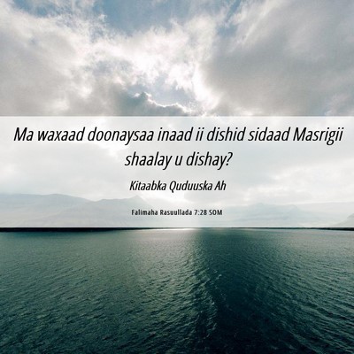 Picture 06 - Falimaha Rasuullada 7:28 SOM - Ma waxaad doonaysaa inaad ii dishid sidaad - Bible Verse Picture