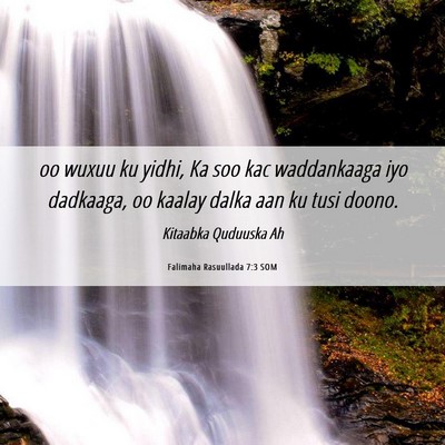 Picture 06 - Falimaha Rasuullada 7:3 SOM - oo wuxuu ku yidhi, Ka soo kac waddankaaga iyo - Bible Verse Picture