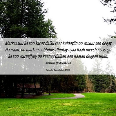 Picture 06 - Falimaha Rasuullada 7:4 SOM - Markaasuu ka soo kacay dalkii reer Kaldayiin oo - Bible Verse Picture