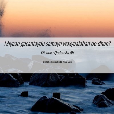 Picture 06 - Falimaha Rasuullada 7:50 SOM - Miyaan gacantaydu samayn waxyaalahan oo - Bible Verse Picture