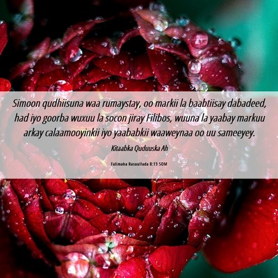 Picture 06 - Falimaha Rasuullada 8:13 SOM - Simoon qudhiisuna waa rumaystay, oo markii la - Bible Verse Picture
