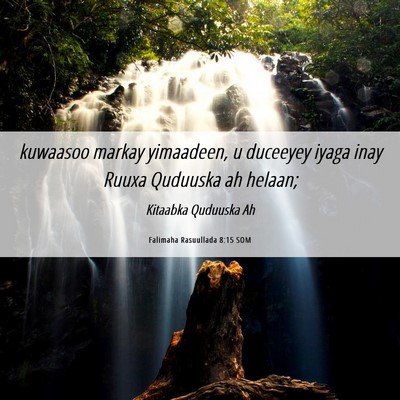 Picture 06 - Falimaha Rasuullada 8:15 SOM - kuwaasoo markay yimaadeen, u duceeyey iyaga inay - Bible Verse Picture