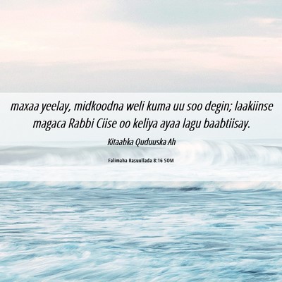 Picture 06 - Falimaha Rasuullada 8:16 SOM - maxaa yeelay, midkoodna weli kuma uu soo degin; - Bible Verse Picture