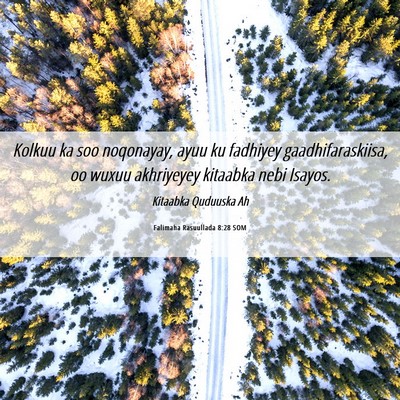 Picture 06 - Falimaha Rasuullada 8:28 SOM - Kolkuu ka soo noqonayay, ayuu ku fadhiyey - Bible Verse Picture