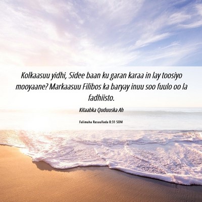 Picture 06 - Falimaha Rasuullada 8:31 SOM - Kolkaasuu yidhi, Sidee baan ku garan karaa in lay - Bible Verse Picture