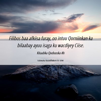 Picture 06 - Falimaha Rasuullada 8:35 SOM - Filibos baa afkiisa furay, oo intuu Qorniinkan ka - Bible Verse Picture