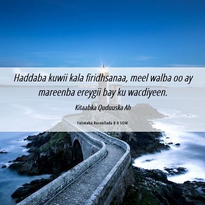 Picture 06 - Falimaha Rasuullada 8:4 SOM - Haddaba kuwii kala firidhsanaa, meel walba oo ay - Bible Verse Picture