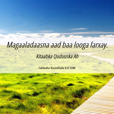 Picture 06 - Falimaha Rasuullada 8:8 SOM - Magaaladaasna aad baa looga - Bible Verse Picture