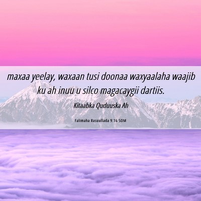 Picture 06 - Falimaha Rasuullada 9:16 SOM - maxaa yeelay, waxaan tusi doonaa waxyaalaha - Bible Verse Picture