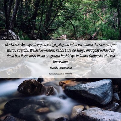 Picture 06 - Falimaha Rasuullada 9:17 SOM - Markaasaa Ananiyas tegey oo gurigii galay, oo - Bible Verse Picture