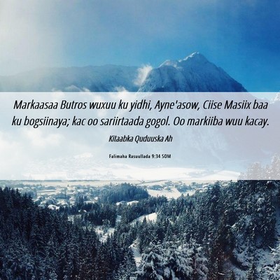 Picture 06 - Falimaha Rasuullada 9:34 SOM - Markaasaa Butros wuxuu ku yidhi, Ayne'asow, Ciise - Bible Verse Picture