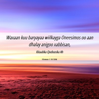 Picture 06 - Filemon 1:10 SOM - Waxaan kuu baryayaa wiilkayga Oneesimos oo aan - Bible Verse Picture