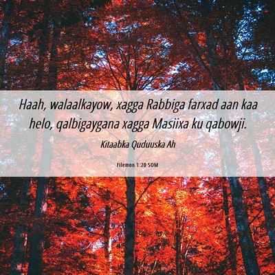 Picture 06 - Filemon 1:20 SOM - Haah, walaalkayow, xagga Rabbiga farxad aan kaa - Bible Verse Picture