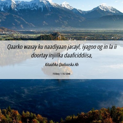 Picture 06 - Filiboy 1:16 SOM - Qaarko waxay ku naadiyaan jacayl, iyagoo og in la - Bible Verse Picture