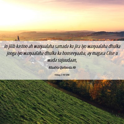 Picture 06 - Filiboy 2:10 SOM - in jilib kastoo ah waxyaalaha samada ku jira iyo - Bible Verse Picture