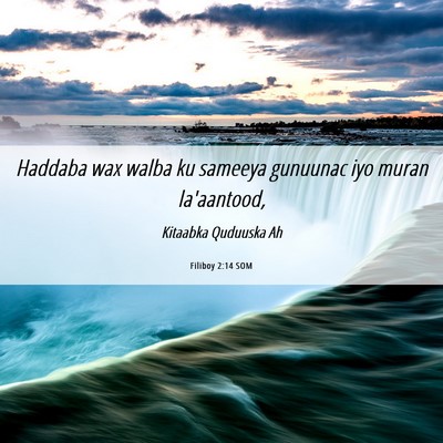 Picture 06 - Filiboy 2:14 SOM - Haddaba wax walba ku sameeya gunuunac iyo muran - Bible Verse Picture