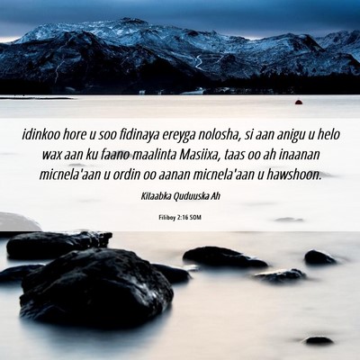 Picture 06 - Filiboy 2:16 SOM - idinkoo hore u soo fidinaya ereyga nolosha, si - Bible Verse Picture