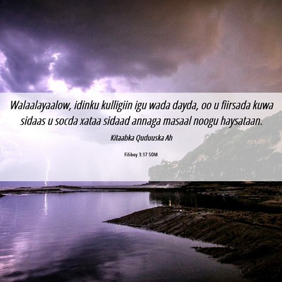 Picture 06 - Filiboy 3:17 SOM - Walaalayaalow, idinku kulligiin igu wada dayda, - Bible Verse Picture