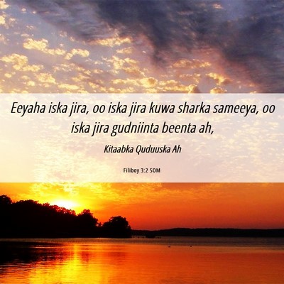 Picture 06 - Filiboy 3:2 SOM - Eeyaha iska jira, oo iska jira kuwa sharka - Bible Verse Picture
