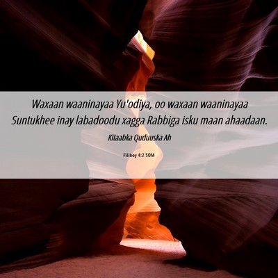 Picture 06 - Filiboy 4:2 SOM - Waxaan waaninayaa Yu'odiya, oo waxaan waaninayaa - Bible Verse Picture