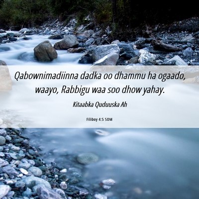 Picture 06 - Filiboy 4:5 SOM - Qabownimadiinna dadka oo dhammu ha ogaado, waayo, - Bible Verse Picture