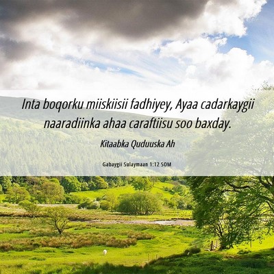 Picture 06 - Gabaygii Sulaymaan 1:12 SOM - Inta boqorku miiskiisii fadhiyey, Ayaa - Bible Verse Picture