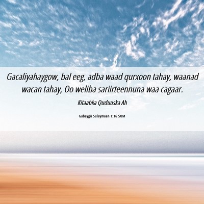 Picture 06 - Gabaygii Sulaymaan 1:16 SOM - Gacaliyahaygow, bal eeg, adba waad qurxoon tahay, - Bible Verse Picture