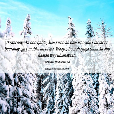Picture 06 - Gabaygii Sulaymaan 2:15 SOM - Dawacooyinka noo qabta, kuwaasoo ah dawacooyinka - Bible Verse Picture