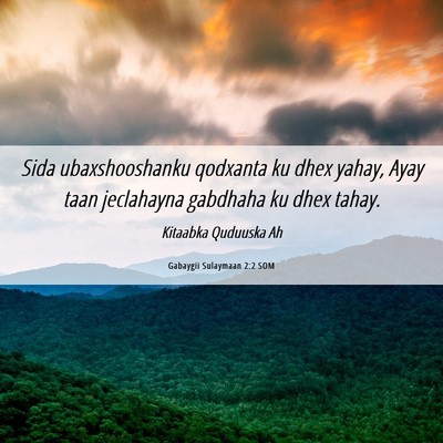 Picture 06 - Gabaygii Sulaymaan 2:2 SOM - Sida ubaxshooshanku qodxanta ku dhex yahay, Ayay - Bible Verse Picture